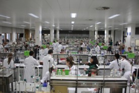 cocker-lab-salsters1